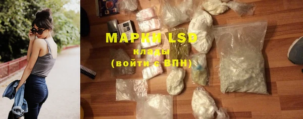 гидра Карпинск