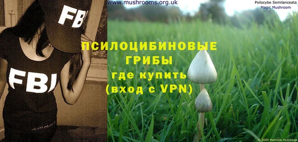 гидра Карпинск
