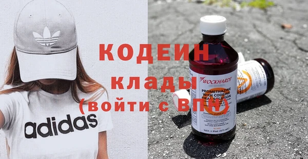гидра Карпинск