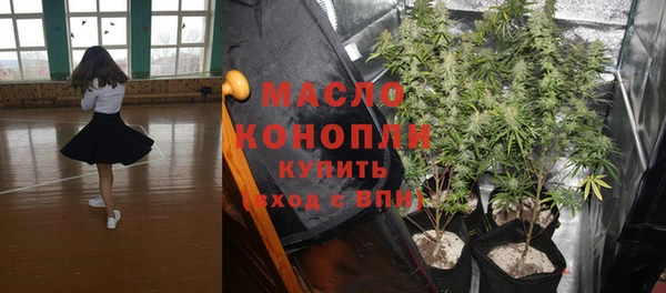 гидра Карпинск