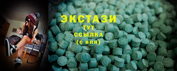 гидра Карпинск