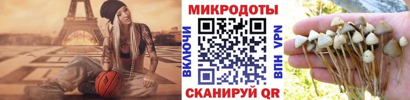 Псилоцибиновые грибы Psilocybine cubensis  Купить закладки  Мамоново 